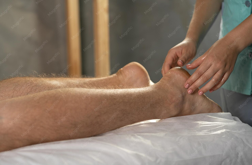 Leg